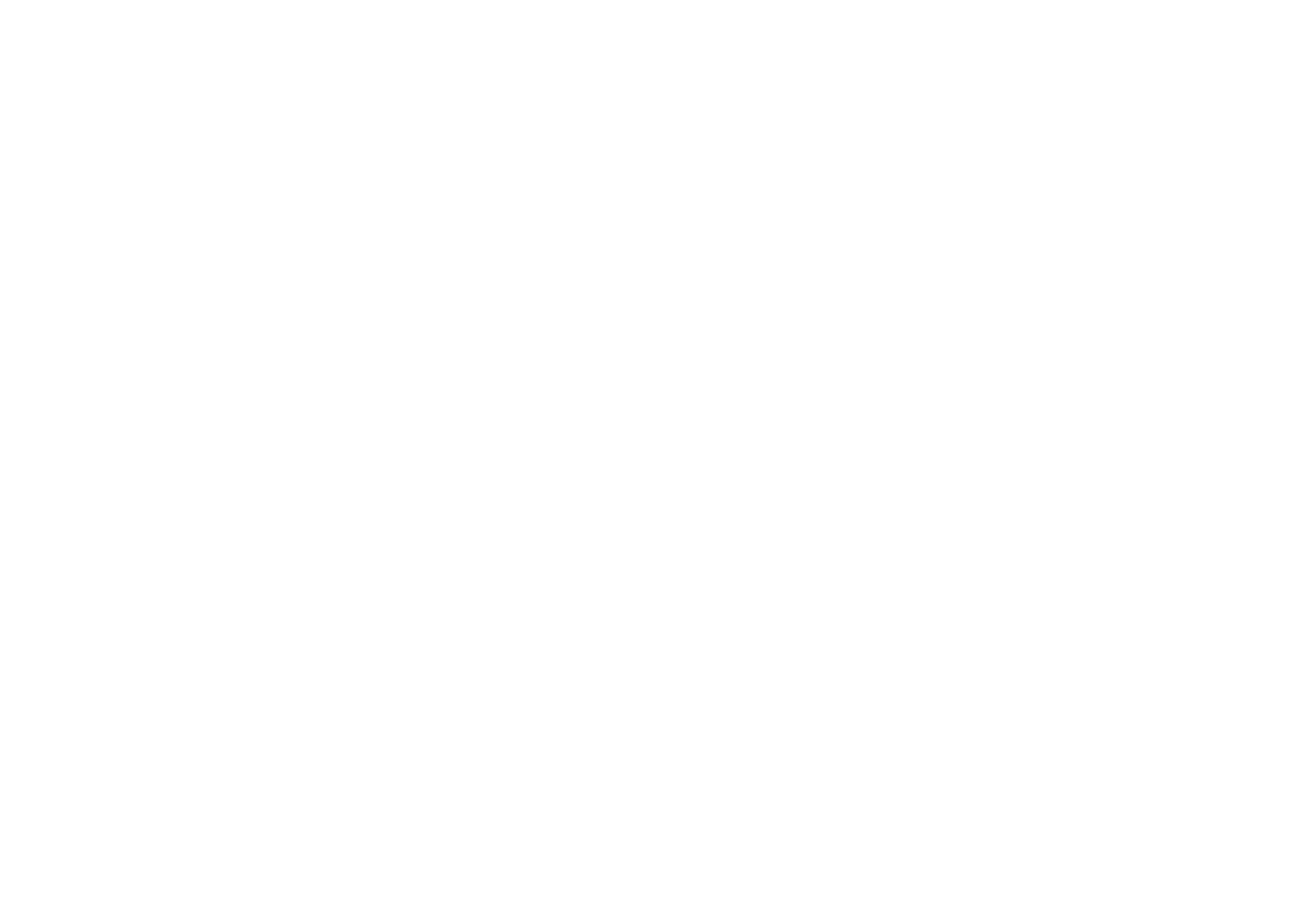 CCAJ — CleanCare Agency Jamaica